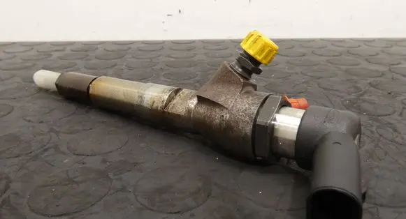 Renault Scenic IV - Grand scenic IV Fuel injector 166006212R H8201100113