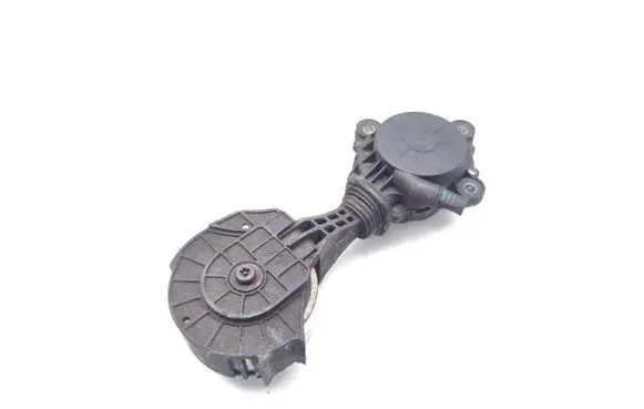 Peugeot 207 Timing belt/chain tensioner V75988338001