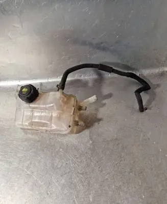 Renault Scenic III - Grand scenic III Coolant expansion tank/reservoir 217100005R