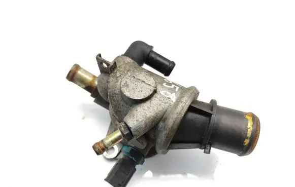 Thermostat/thermostat housing