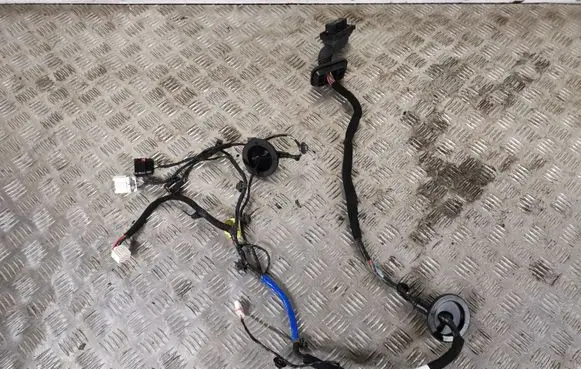 Hyundai Santa Fe Front door wiring loom 91610S2250