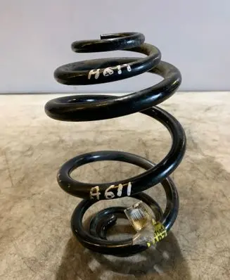 Rear coil spring