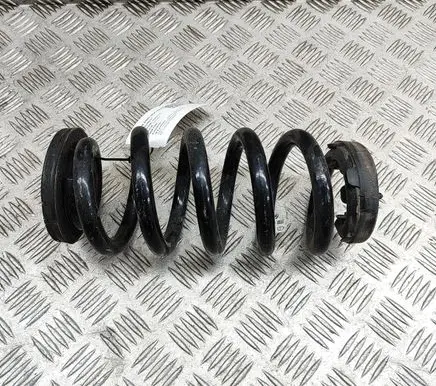 Cupra Born Rear coil spring 1EA511103R