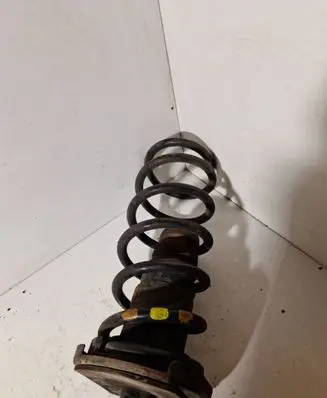 Rear coil spring