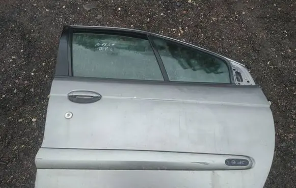 Renault Scenic I Front door pilkos