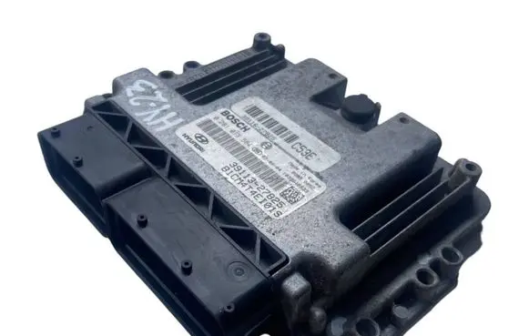 Hyundai Santa Fe Engine control unit/module 3911327825 0281013584 3911627825