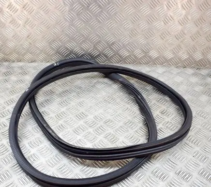 Citroen C3 Rubber seal rear door 9813059680