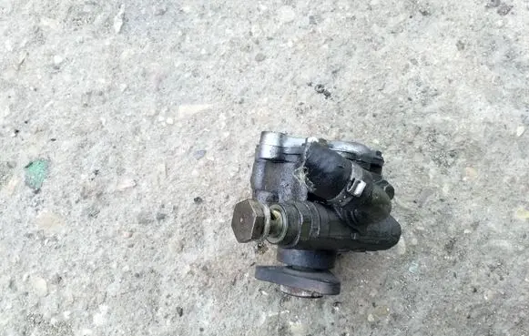Volkswagen PASSAT B5.5 Power steering pump