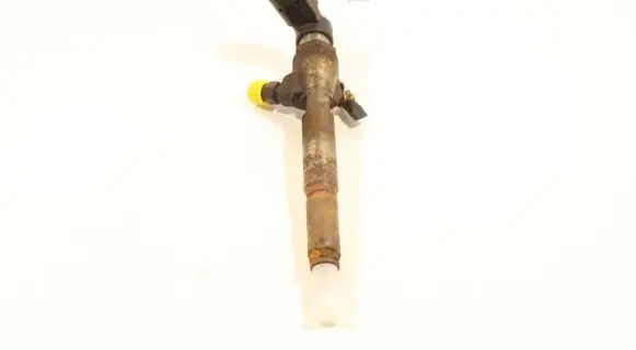 Renault Laguna III Fuel injector H8200294788