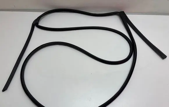 Hyundai Ioniq 5 Rubber seal rear door 