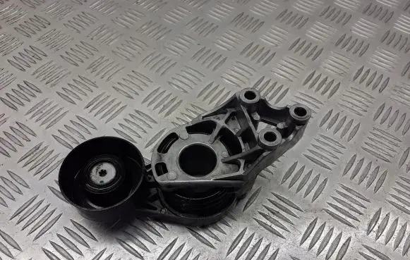 Skoda Fabia Mk2 (5J) Alternator belt tensioner pulley 