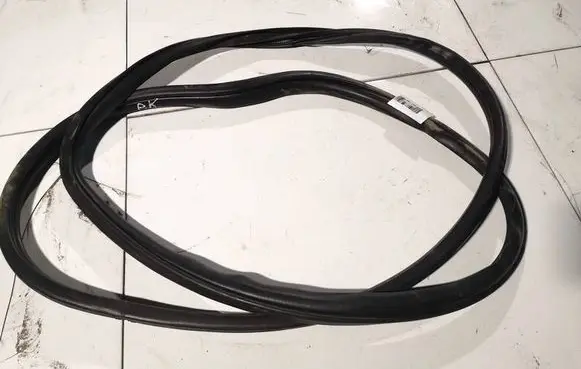 Mitsubishi Lancer X Rubber seal front coupe door 