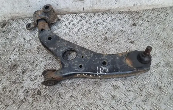 Front lower control arm/wishbone