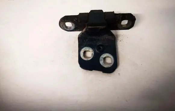 Renault Laguna I Rear door lower hinge