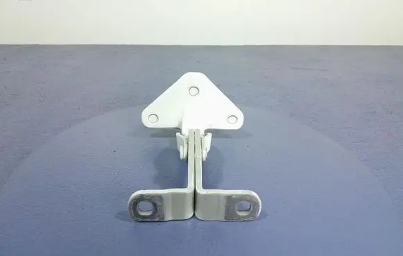 Tailgate/trunk/boot hinge