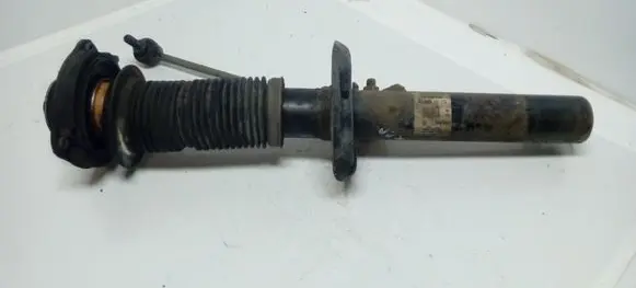 Skoda Superb B6 (3T) Front shock absorber/damper 3C0413031N