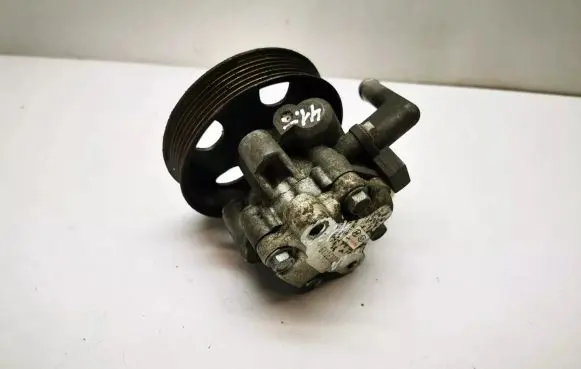KIA Sportage Power steering pump 571002E200