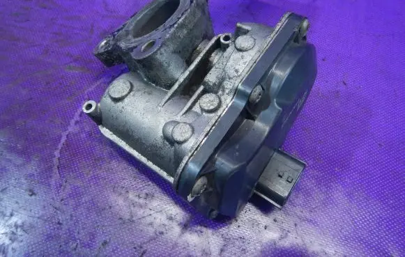 Dacia Sandero EGR valve H8201143495