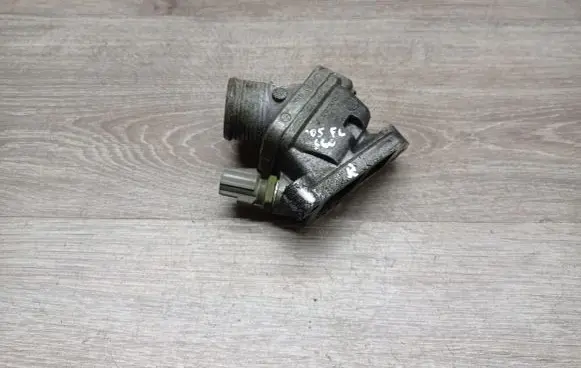 Thermostat/thermostat housing