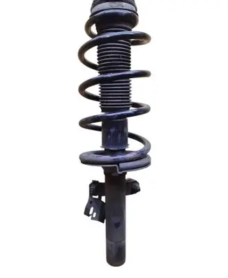 Ford Transit Custom Front shock absorber with coil spring BK2118045JA