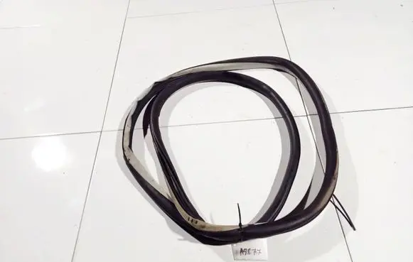 Citroen C5 Rubber seal front coupe door 