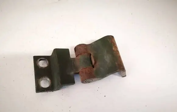 Rear door lower hinge