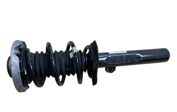 Front shock absorber with coil spring