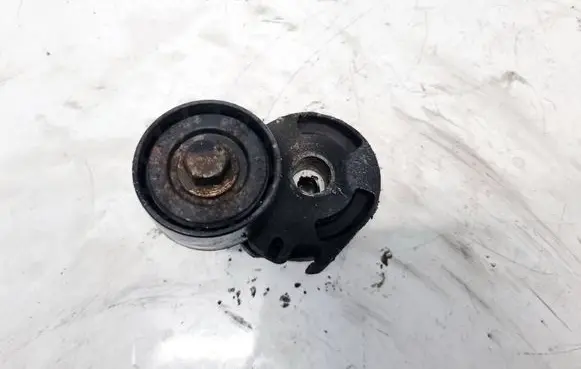 Peugeot 407 Generator/alternator belt tensioner