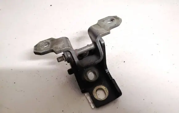 Renault Megane III Rear door lower hinge