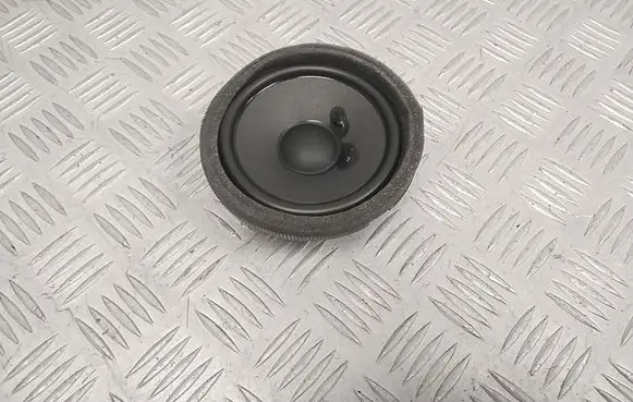 Front door speaker