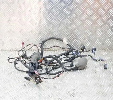 Front door wiring loom