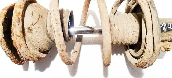 Front coil spring