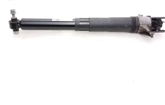 Porsche Cayenne (9Y0 9Y3) Rear shock absorber/damper 9Y0513031C