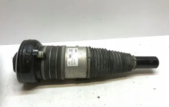 Audi e-tron Rear shock absorber/damper 4KE616039G