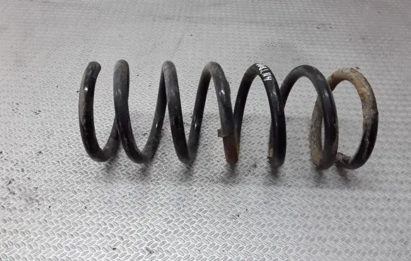 Opel Antara Rear coil spring
