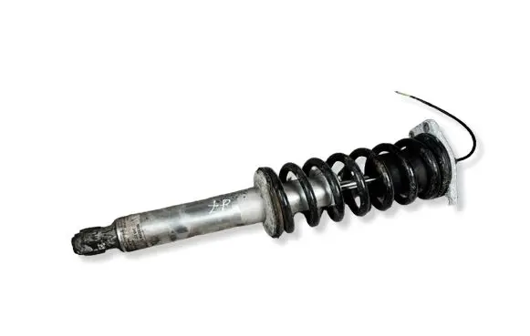 Maserati GranTurismo Rear shock absorber/damper 248217 462400006032