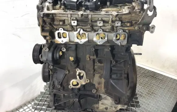 Renault Koleos I Engine M9R833