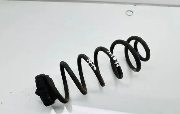 Rear coil spring