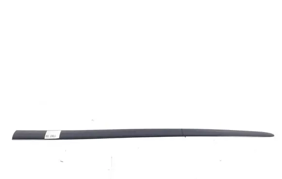 Front door trim (molding)