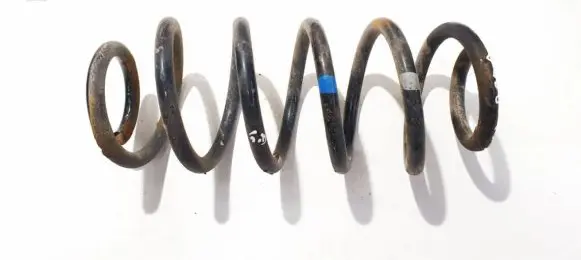 Toyota Urban Cruiser (XP110) Rear coil spring