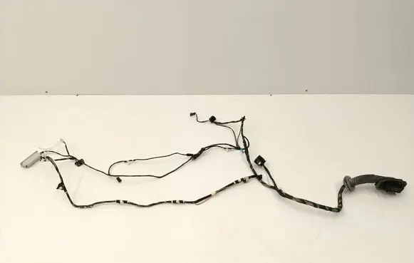 Front door wiring loom