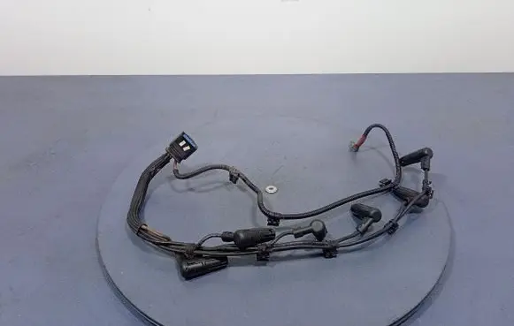 BMW 6 F12 F13 Other wiring loom 7811942