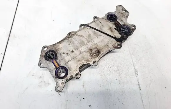 Mercedes-Benz R W251 Engine oil radiator 6421800165