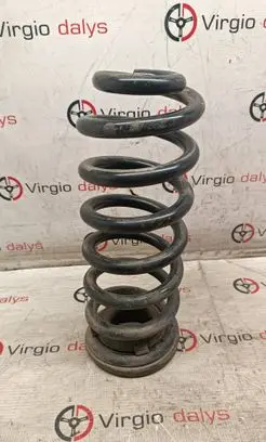 Rear coil spring