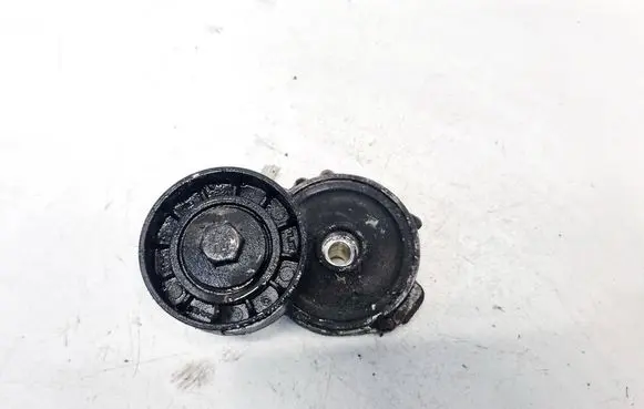 Peugeot 4007 Generator/alternator belt tensioner