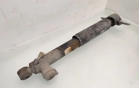 Opel Insignia A Rear shock absorber/damper 13319754