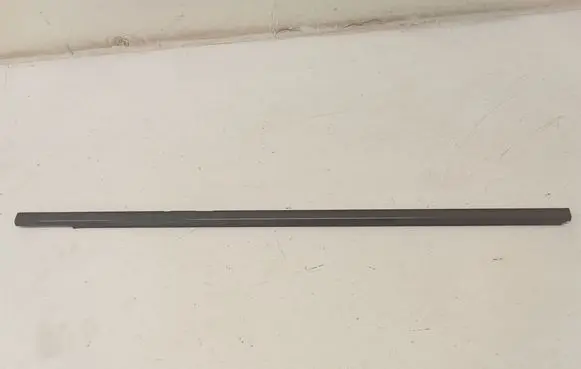 Nissan Terrano Front door glass trim molding 801017F731