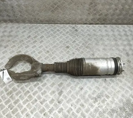 Land Rover Range Rover Sport L494 Air suspension front shock absorber DPLA3C286CH