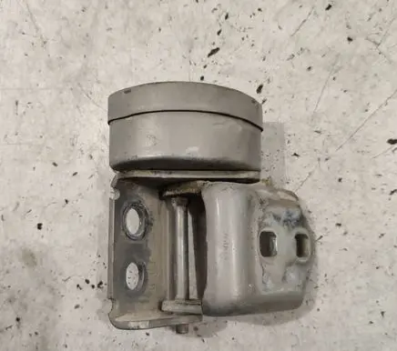 Rear door lower hinge