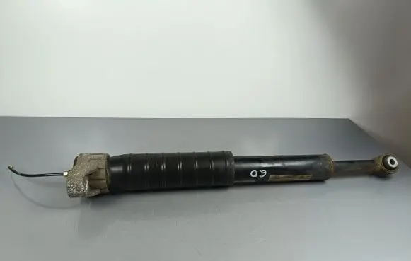 Maserati Quattroporte Rear shock absorber/damper 462400010973
